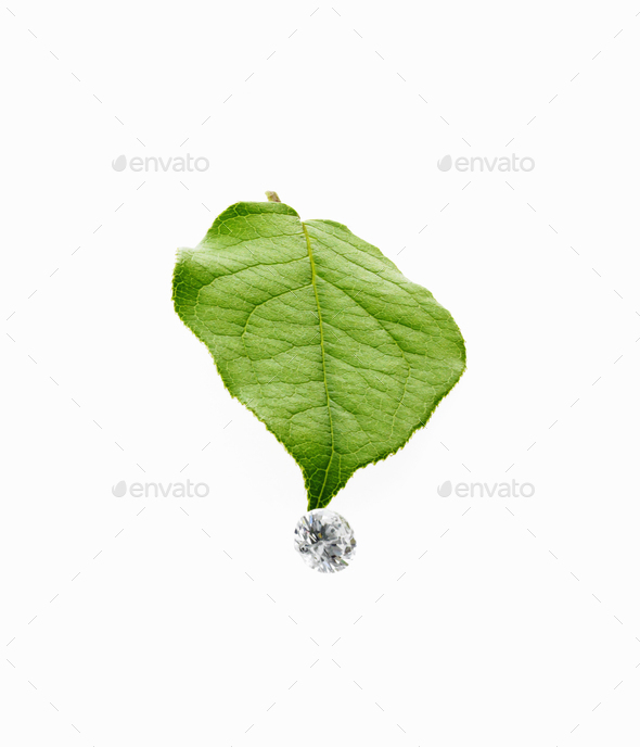 Still life, Green leaf foliage and gems cut with reflective surfaces, - Stock Photo - Images