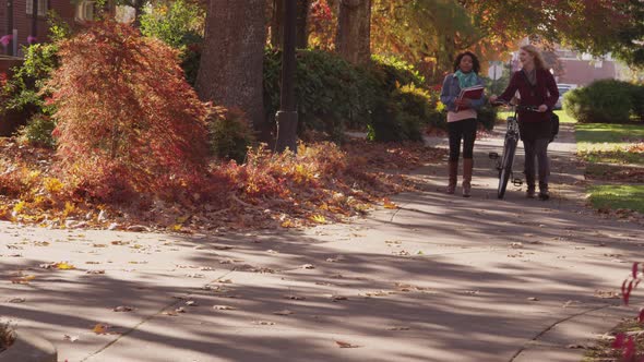 Two college students on campus walking together