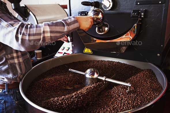 Specialist coffee shop. Coffee beans roasting in a drum, being stirred with a metal paddle.