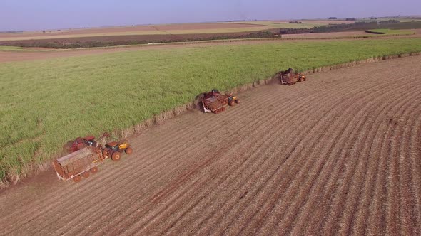 Sugar cane hasvest plantation with three machines view aerial alt