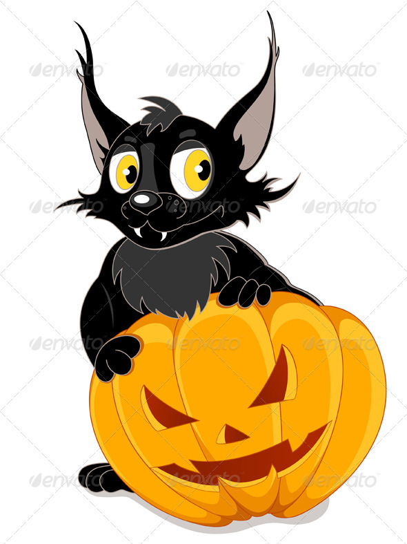 Black Bat and Halloween Pumpkin - Halloween Seasons/Holidays