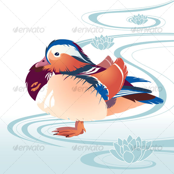 Colorful exotic bird - Animals Characters
