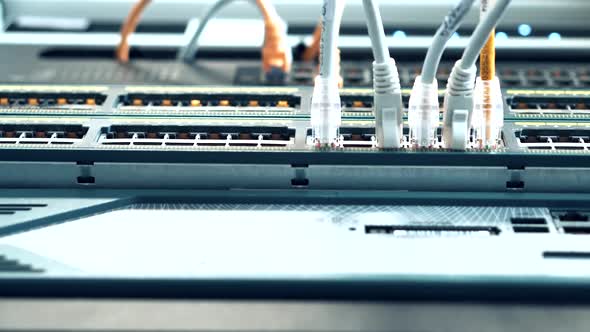 It Administrator In Mining Server Room And Connecting Ethernet Wire.Cloud Computing Mining Equipment alt