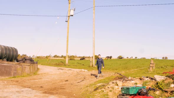 Cattle farmer walking towards barn alt