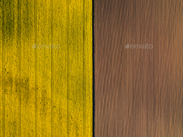 Natural yellow and brown flat background. Drone perspective. - Stock Photo - Images