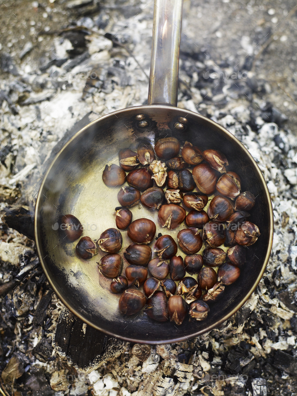 A frying pan over an open fire, with blackened fresh roasted chestnuts.  Stock Photo by Mint_Images