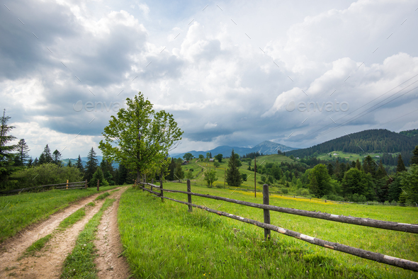 Bewitching beautiful summer landscape of green meadows - Stock Photo - Images