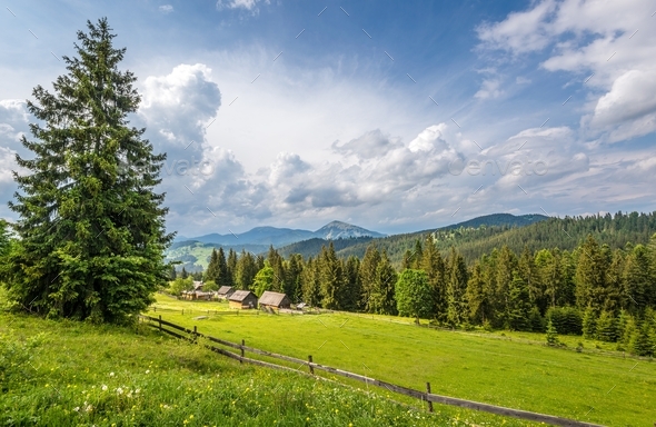 Bewitching beautiful summer landscape of green meadows - Stock Photo - Images