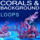 Corals - VideoHive Item for Sale