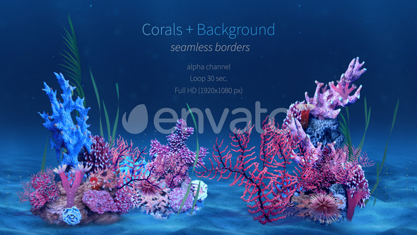 Corals alt