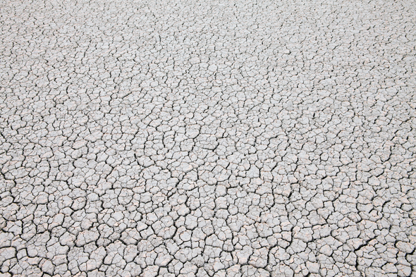 Dry cracked desert surface, Black Rock Desert in Nevada, USA