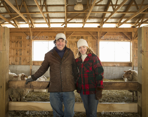 An Organic Farm in Winter in Cold Spring, New York State. A farmer and a woman standing by a pen full of sheep.