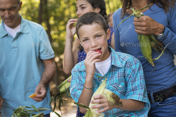 A group of young people eating raw fresh vegetables, sweet corn cobs, just after picking them.