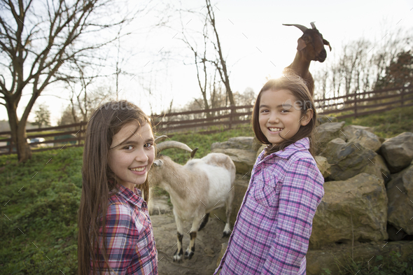 Two children, young girls, in the goat enclosure at an animal sanctuary.