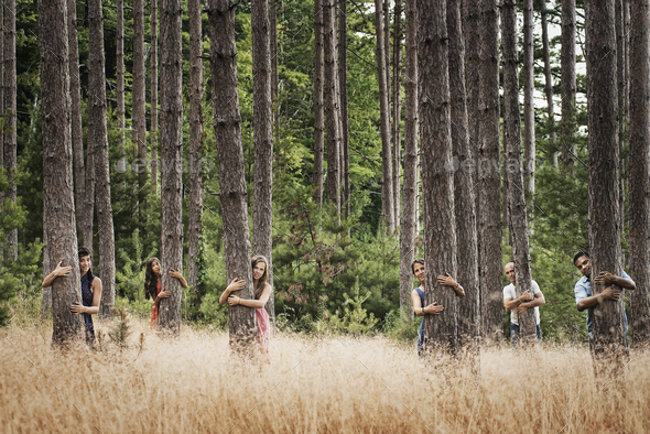 A group of people communing with nature, and hugging tall straight trees in woodland.