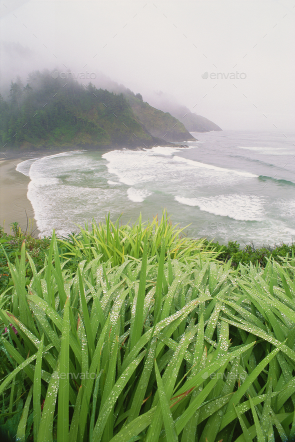 Heceta Head is a headland on the Pacific coastline of Oregon. - Stock Photo - Images