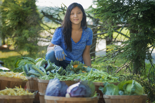 A young woman in a field of produce, a market garden of fresh vegetables, holding a basket of fresh produce.