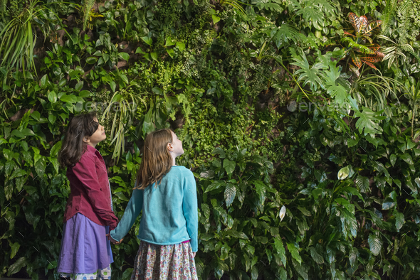Two children holding hands and looking up at a wall covered with growing foliage in a city park - Stock Photo - Images