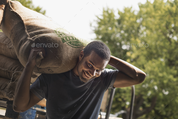A man carrying a sack full of coffee beans at a blending and processing shed, on a farm.
