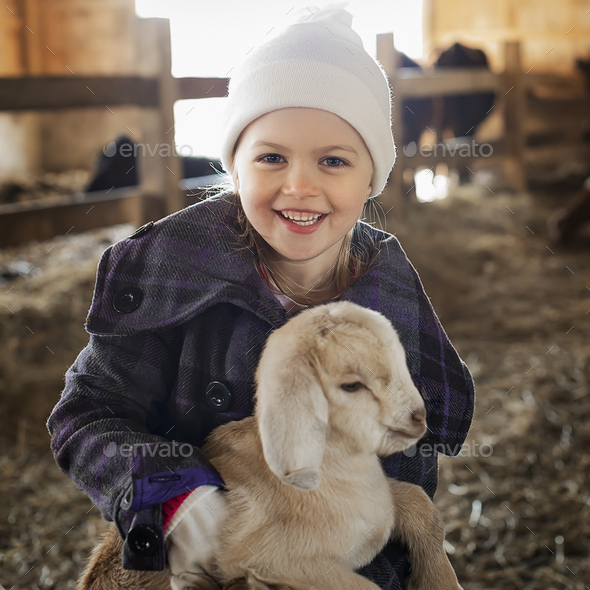 A child in the animal shed holding and stroking a baby goat.