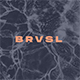 BervisualStd