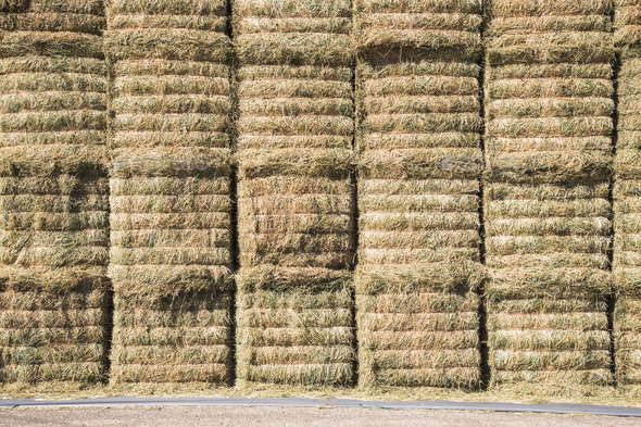 A stack of hay bales, stored in layers, to protect and keep the fodder material dry.