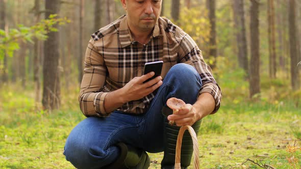 Man Using Smartphone To Identify Mushroom alt