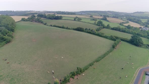 Aerial shot tracking forward over hilly fields in the countryside. West Somerset, Washford. alt
