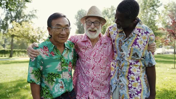 Four old friends at the park alt