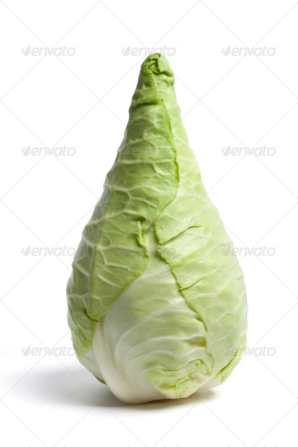 Whole fresh green Pointed Cabbage - Stock Photo - Images