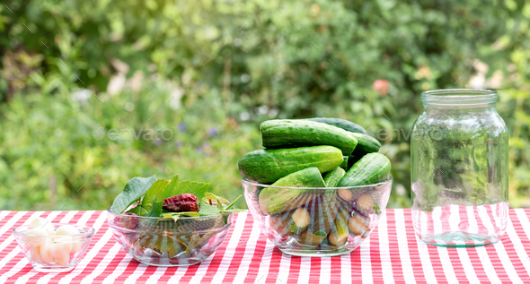 Procurement of ingredients for the preservation of cucumbers - Stock Photo - Images