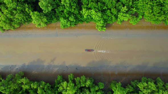 Top view of the boat cruising along the canal with mangroves surrounding alt