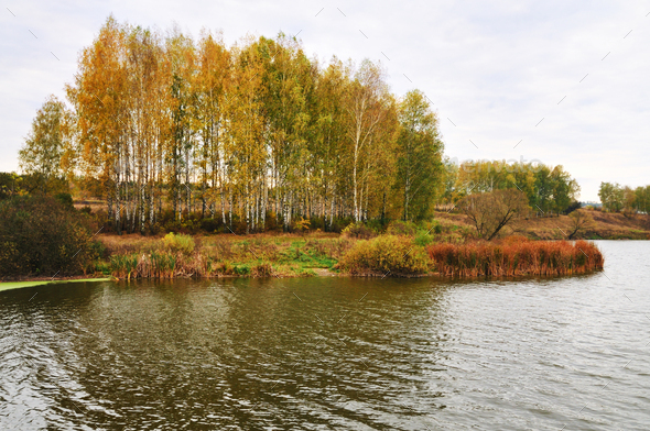 Beautiful autumn landscape yellow grass leaves - Stock Photo - Images