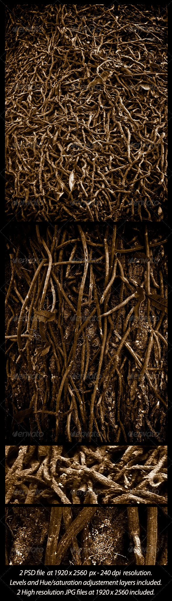 2 Roots Textures - Nature Textures