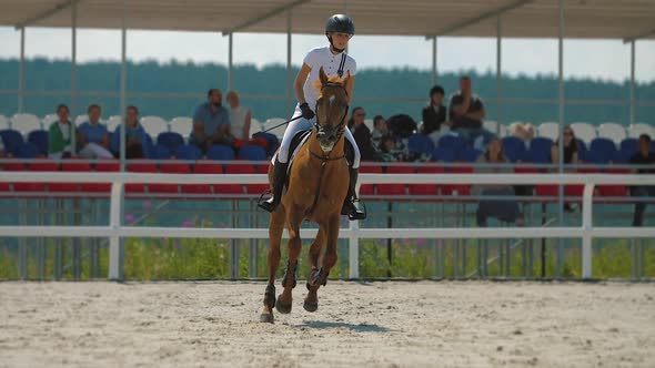 Woman Rider on Horse Galloping on Parkour Arena alt