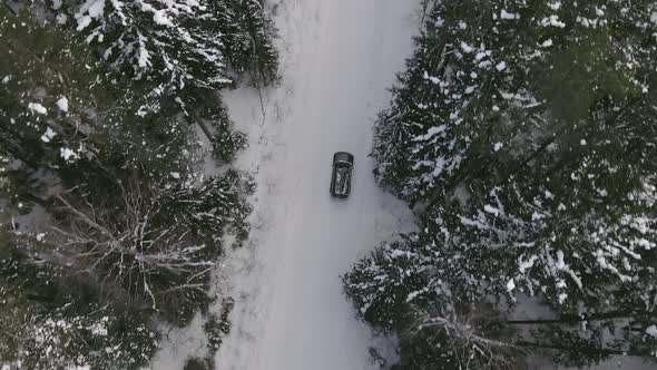 Car driving through forest in winter. alt