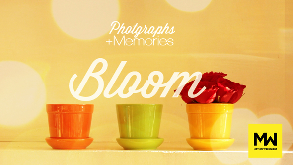 Photographs and Memories Bloom