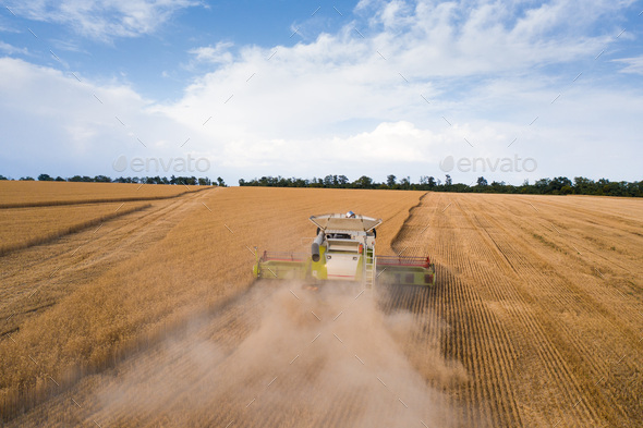 Aerial top view of combine harvester working on wheat field - Stock Photo - Images