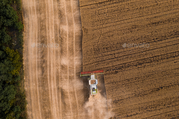 Aerial top view of combine harvester working on wheat field - Stock Photo - Images
