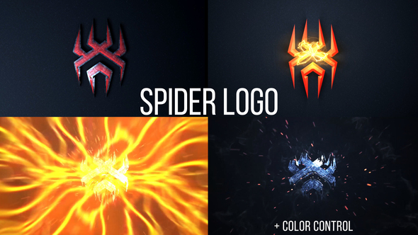 Spider Logo - VideoHive 27640281