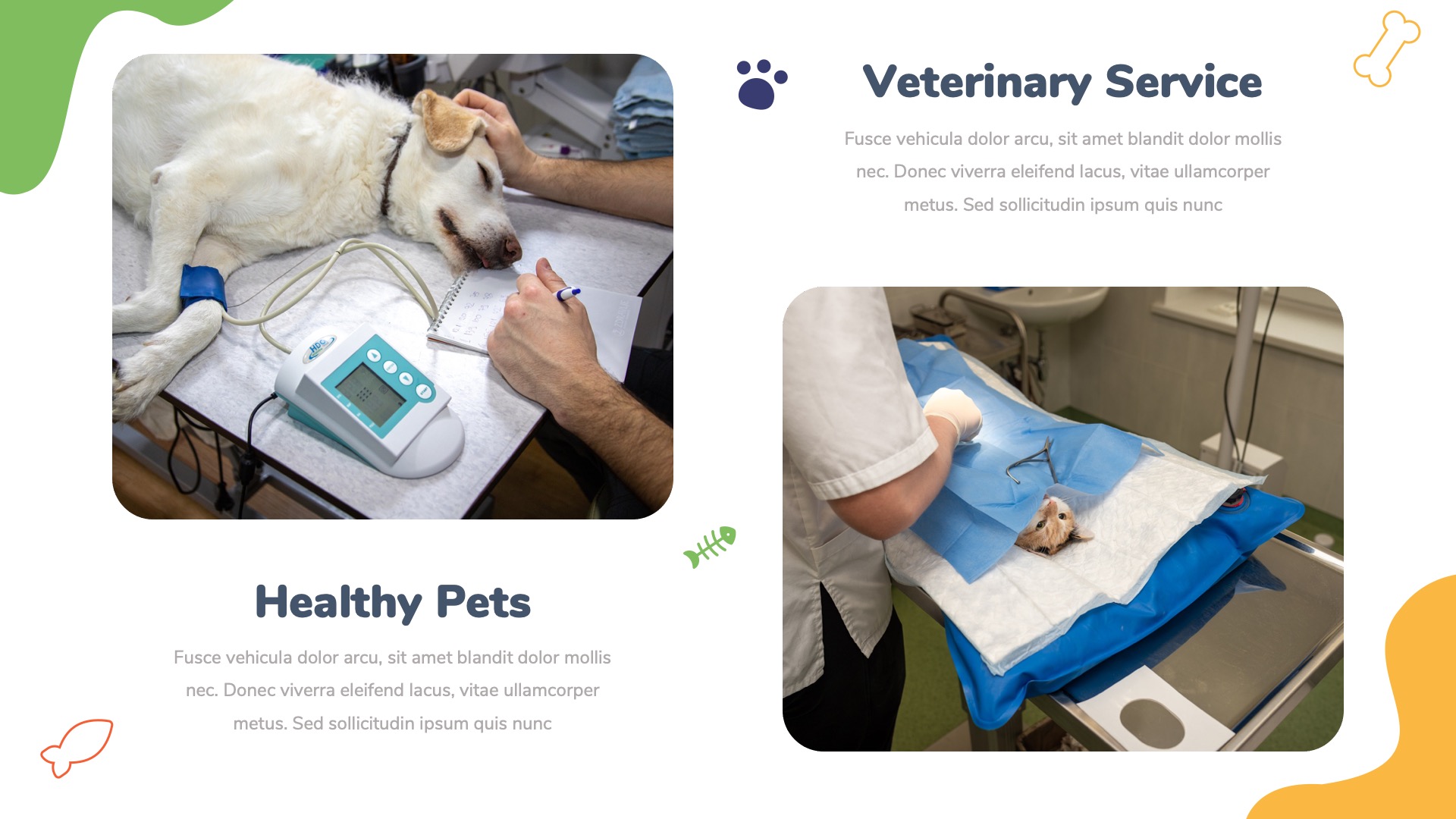 Petsnow - Pet Care & Pet Shop Powerpoint Template, Presentation Templates