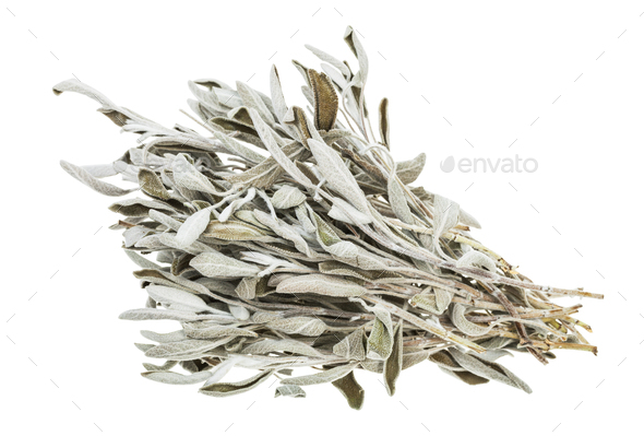 bundle of dried sage (salvia officinalis) herb - Stock Photo - Images