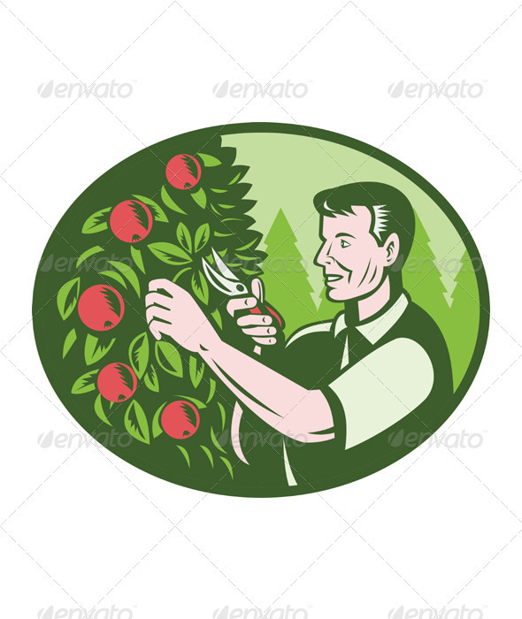 Horticulturist Farmer Pruning Fruit - Industries Business