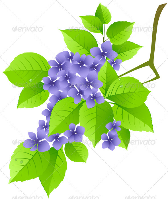 Floral Background with Green Branch - Flowers & Plants Nature