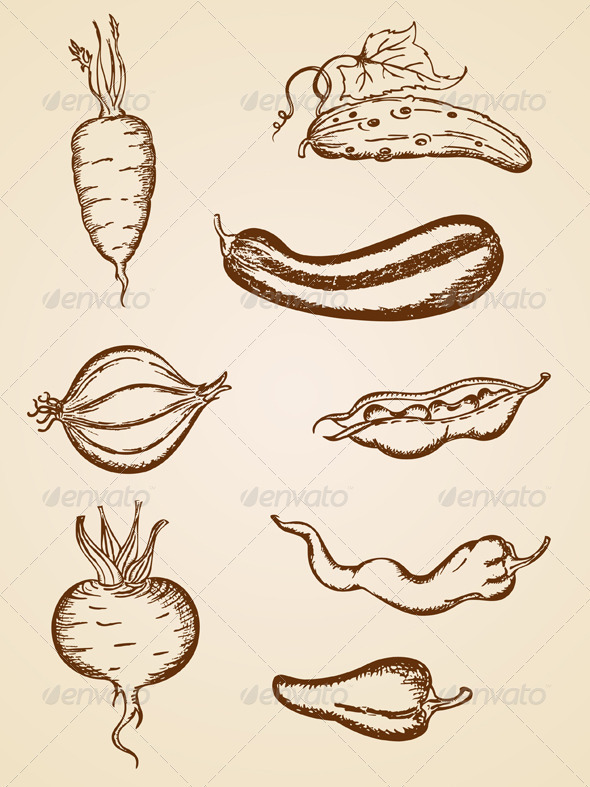 Vintage Vegetables Set - Food Objects