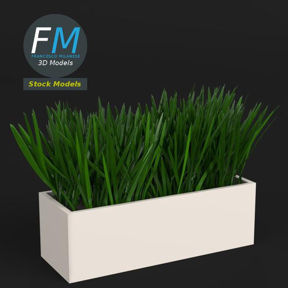 Grass in a - 3Docean 27681194