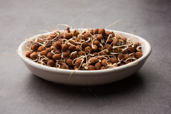 Black chana or brown chickpeas sprouts in a bowl. selective focus