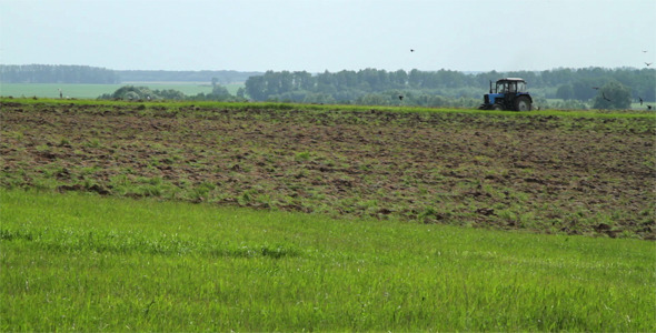 Farmer Plowing The Field