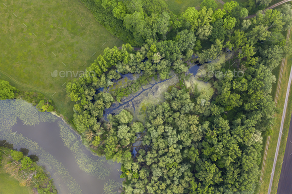 Morava river marshlands from top down view - Stock Photo - Images