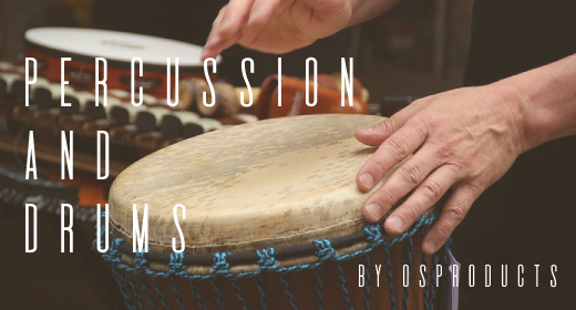 DRUMS and PERCUSSION